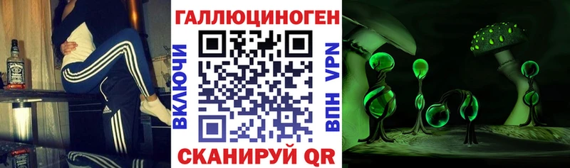 цена   Каргополь  Галлюциногенные грибы прущие грибы 