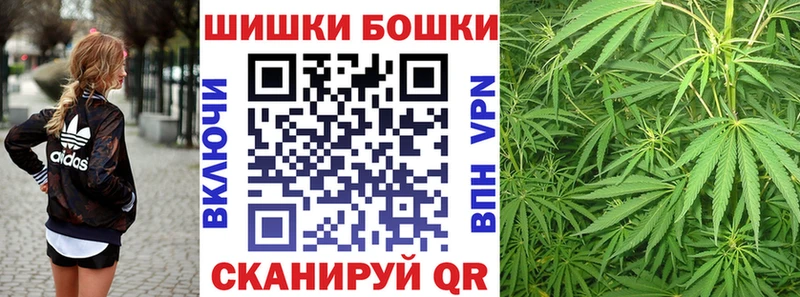 как найти закладки  Каргополь  Шишки марихуана семена 